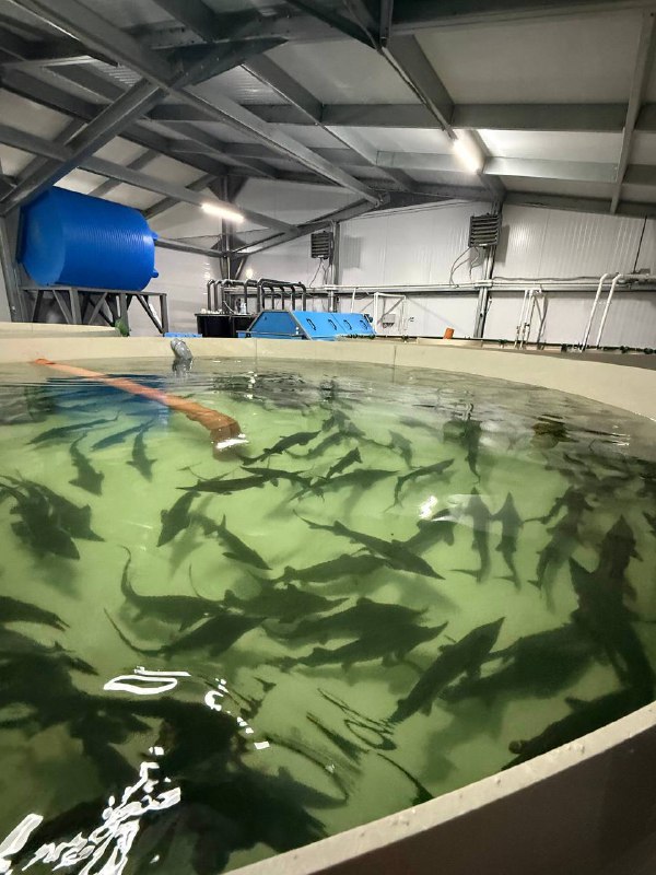 � ������ � ������������: ���������� ��� ���������� �������� ����� ����������� ������ ��� ���� ���